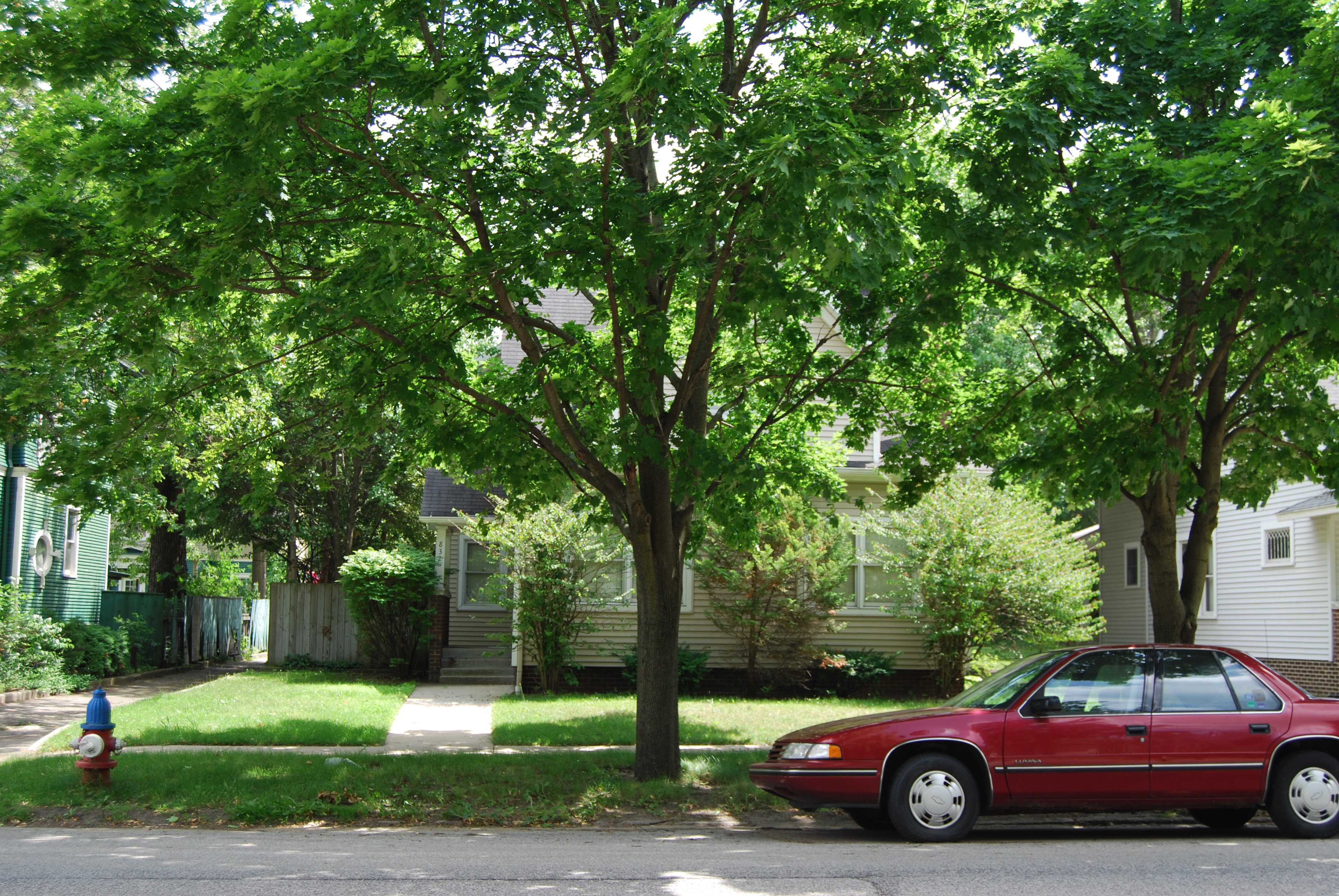 832 Colfax